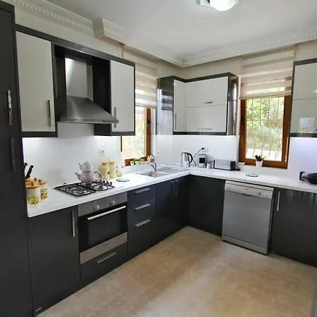 Mimoza Villa *